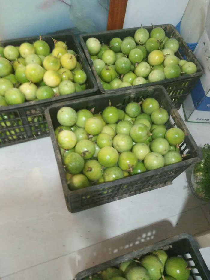 黄金百香果价格