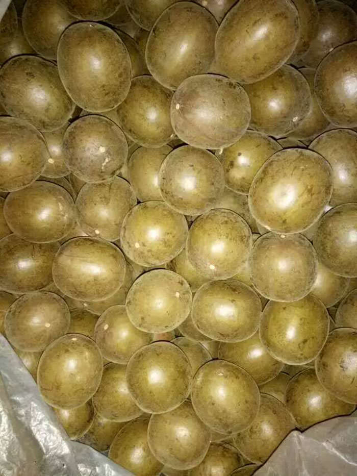 传统烘烤罗汉果厂家