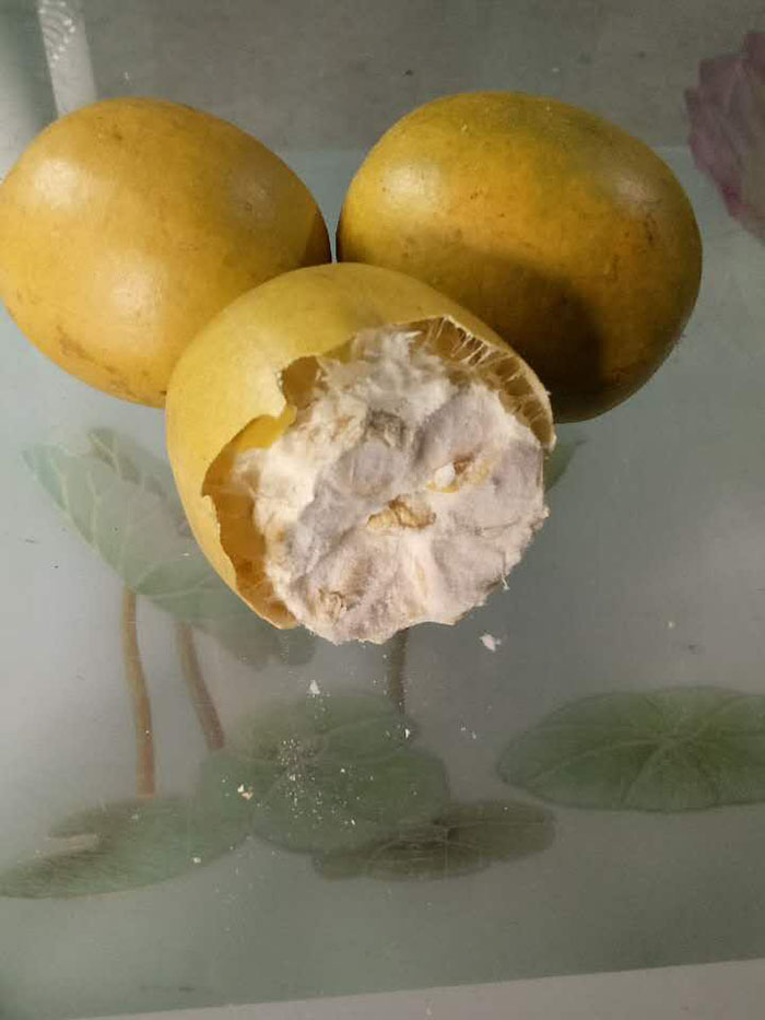 低温脱水罗汉果供应