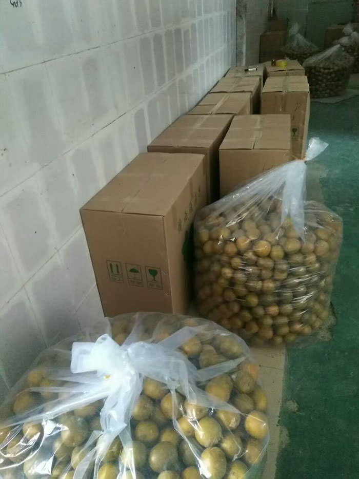 广西低温脱水罗汉果厂