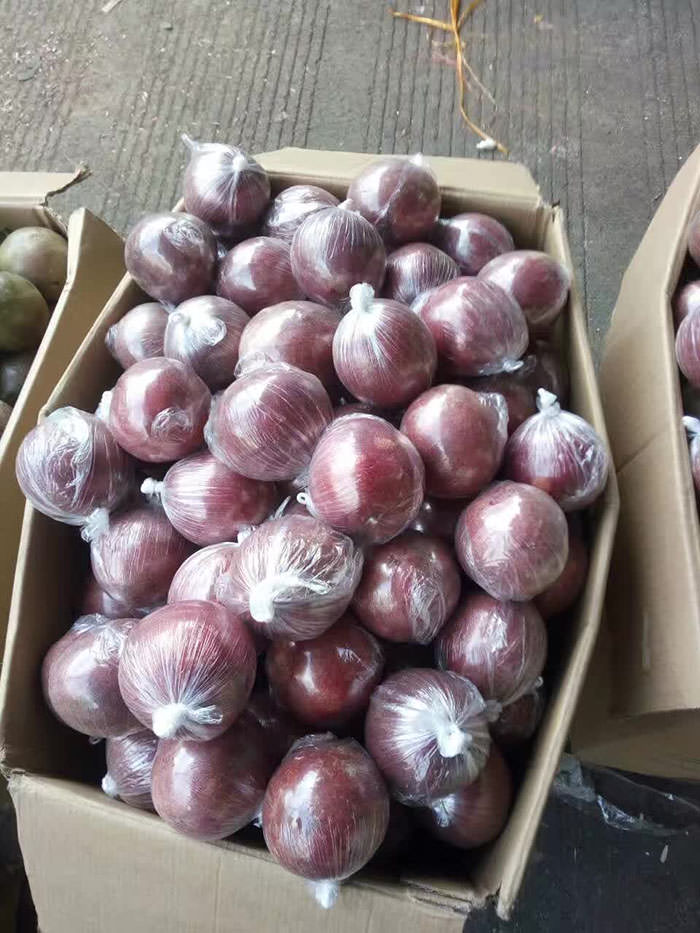 紫色百香果供应商