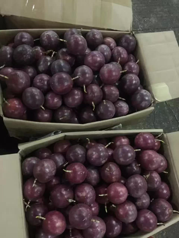 紫色百香果批发