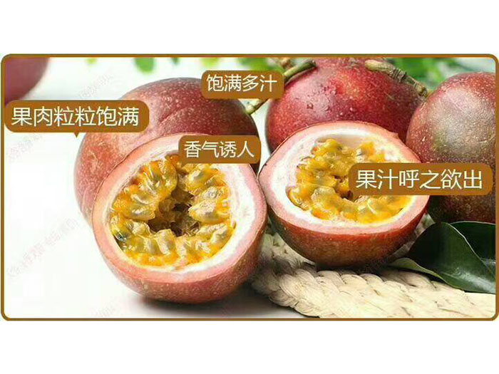 百香果解剖图